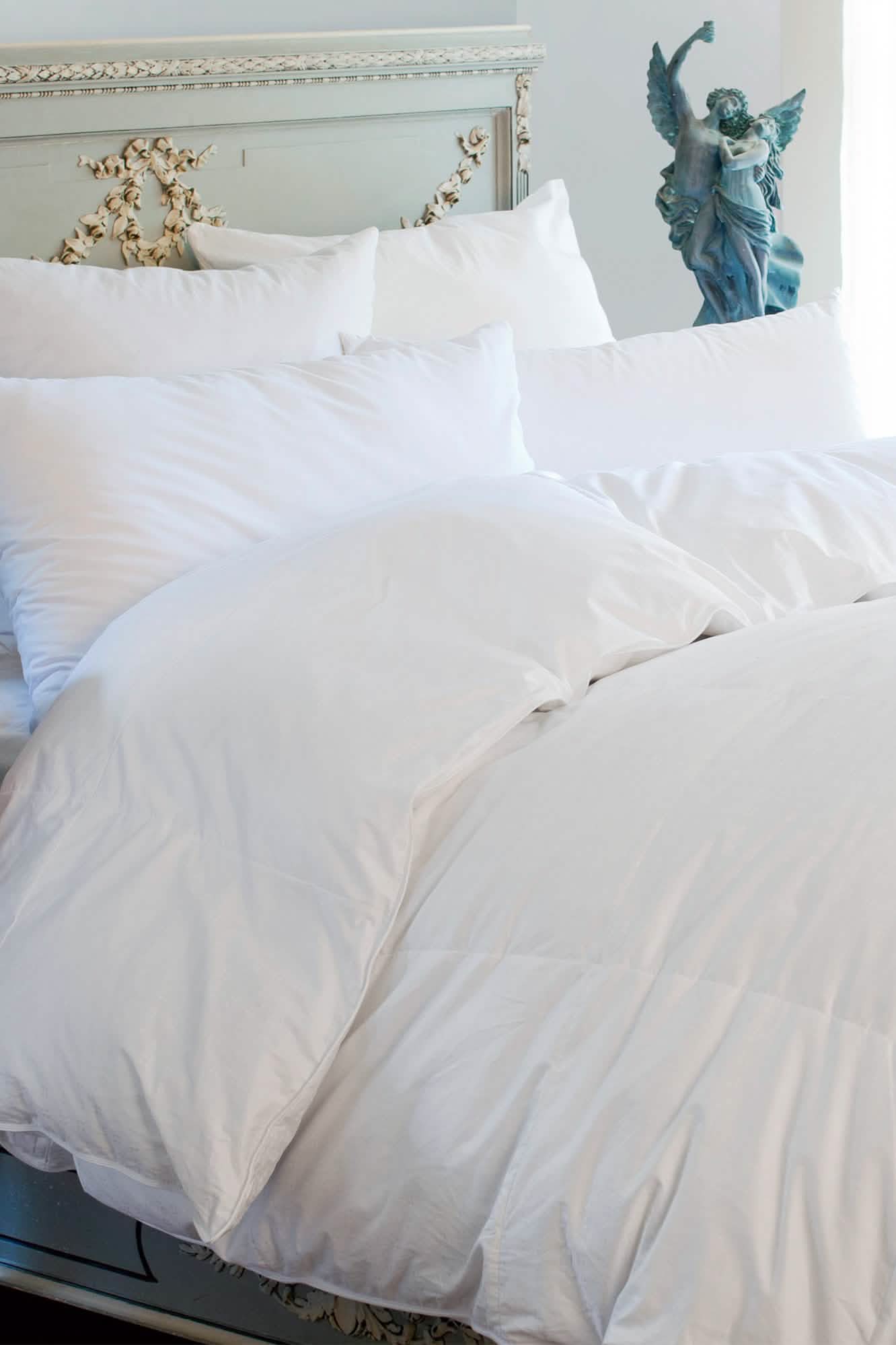 Ziegler Goose Down Duvet Euro Twin 54 x 94 Ultralight
